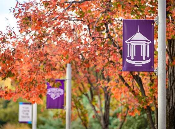 Image of CC banner flags on campus